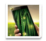 �������Ǿ������⿹�س�Ҿ�ҡ OPPO 㹧ҹ Thailand Mobile Expo 2013 Hi-End 23-26 ����Ҥ����
