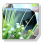  Flash 2 Lens Kit ŹʹءѺѡöҾͶ ѻôͧ Alcatel Onetouch Flash 2 Ҿš!