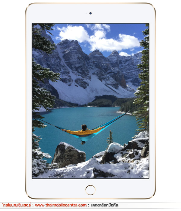 iPad mini 4 Wi-Fi + Cellular