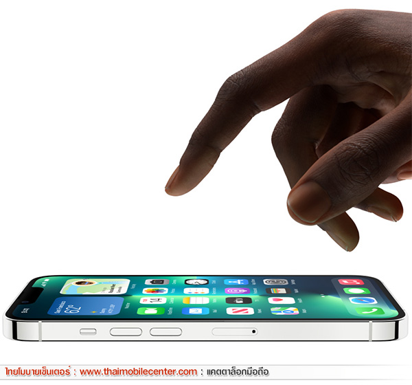 iPhone 13 Pro Max 1TB