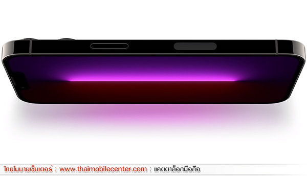 iPhone 13 Pro Max 1TB