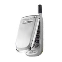 Motorola V50
