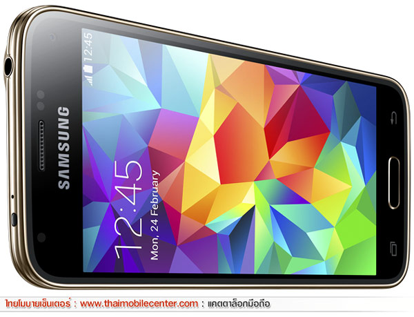 Samsung Galaxy S5 mini