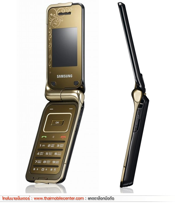 Samsung L310