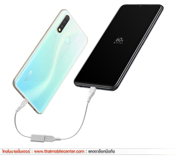 Vivo Y19